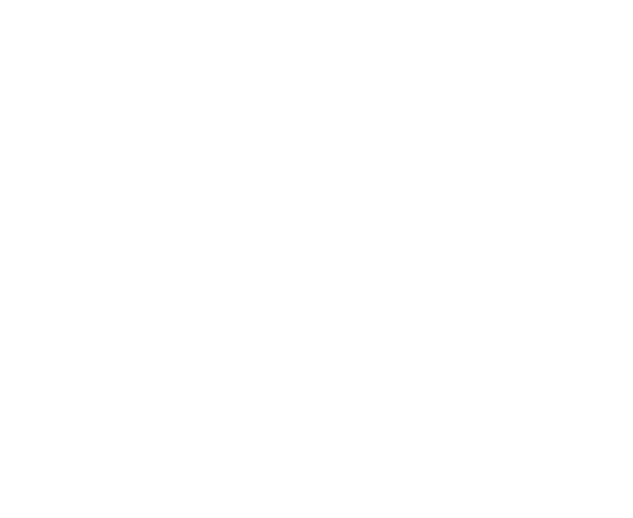 Rare Pond Media